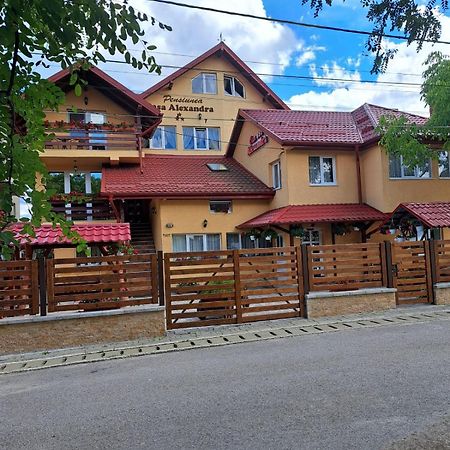 Pensiunea Casa Alexandra Ватра-Дорней Экстерьер фото