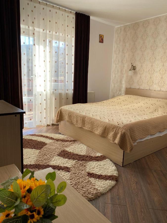 Pensiunea Casa Alexandra Ватра-Дорней Экстерьер фото